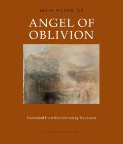 Angel of Oblivion (eBook, ePUB) - Haderlap, Maja