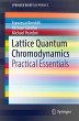 Lattice Quantum Chromodynamics - Bild 1