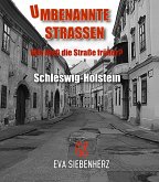 Umbenannte Straßen in Schleswig-Holstein (eBook, ePUB)