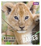 Animal Babies (eBook, ePUB)