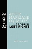 After Marriage Equality (eBook, ePUB)