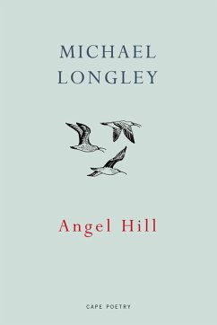 Angel Hill (eBook, ePUB) - Longley, Michael