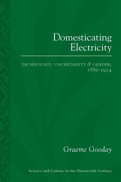 Cover Domesticating Electricity (eBook, ePUB)