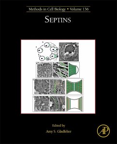 Septins (eBook, ePUB) Cover Septins (eBook, ePUB)