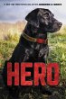 Hero (eBook, ePUB) - Bild 1