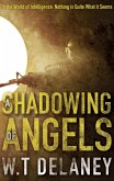 Shadowing of Angels (eBook, ePUB)