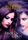 Broken Glass (eBook, ePUB) Broken Glass (eBook, ePUB)