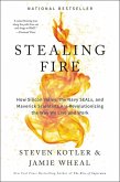 Stealing Fire (eBook, ePUB)