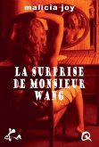 La surprise de Monsieur Wang (eBook, ePUB)