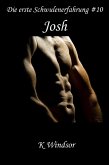 Die erste Schwulenerfahrung #10: Josh (eBook, ePUB)