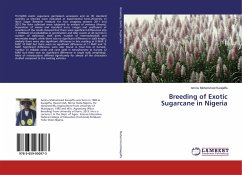 Breeding of Exotic Sugarcane in Nigeria