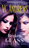 Broken Glass (eBook, ePUB)