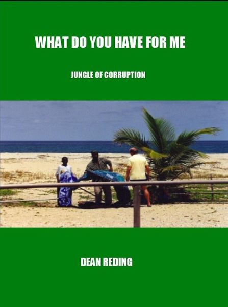 What Do You Have For Me (eBook, ePUB)
