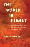 The World in Flames (eBook, ePUB)