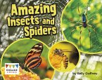 Amazing Insects and Spiders (eBook, PDF)