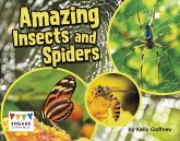 Amazing Insects and Spiders (eBook, PDF)