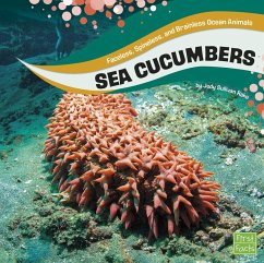 Sea Cucumbers (eBook, PDF) - Rake, Jody S.