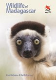 Wildlife of Madagascar (eBook, PDF)