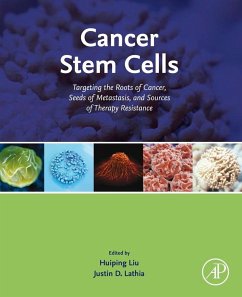 Cover Cancer Stem Cells (eBook, ePUB)
