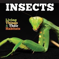 Insects - Jones, Grace