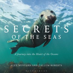Cover Secrets of the Seas (eBook, ePUB)