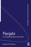 Panjabi (eBook, PDF)