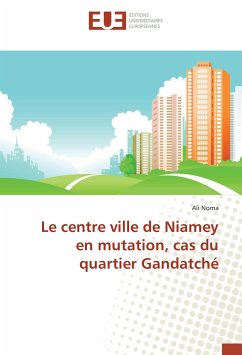 Le centre ville de Niamey en mutation, cas du quartier Gandatché - Noma, Ali