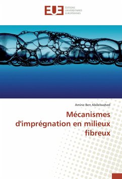 Mécanismes d'imprégnation en milieux fibreux - Ben Abdelwahed, Amine