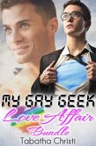 My Gay Geek Love Affair Bundle (eBook, ePUB)