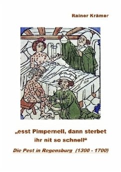 Die Pest in Regensburg (1300 - 1700) - Krämer, Rainer