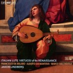 Italienische Lautenvirtuosen Der Renaissance