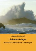 Schattenkrieger (eBook, ePUB)
