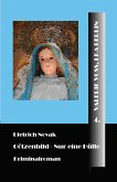 Götzenbild (eBook, ePUB)