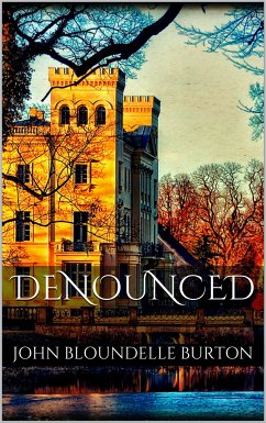 Cover Denounced (eBook, ePUB)