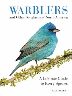 Warblers and Other Songbirds of North America - Sterry, Paul