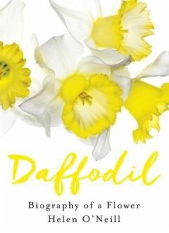 Daffodil - O'Neill, Helen