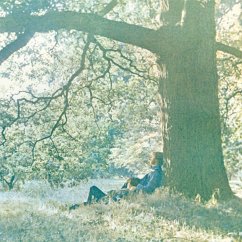 Cover Plastic Ono Band