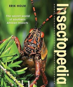 Insectopedia: The Secret World of Southern African Insects - Holm, Erik