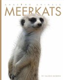 Meerkats