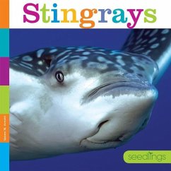 Stingrays - Arnold, Quinn M.