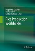 Rice Production Worldwide