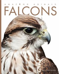 Falcons - Riggs, Kate