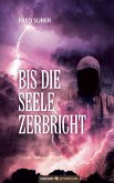 Bis die Seele zerbricht (eBook, ePUB)