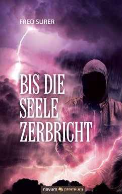 Bis die Seele zerbricht (eBook, ePUB) - Surer, Fred