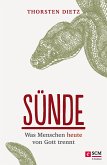 Sünde (eBook, ePUB)