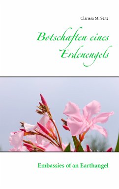 Botschaften eines Erdenengels (eBook, ePUB) - Seite, Clarissa M.