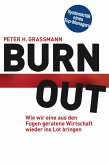 BurnOut: Wie wir eine aus den Fugen geratene Wirtschaft wieder ins Lot bringen (eBook, ePUB)
