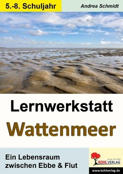 Cover Lernwerkstatt Wattenmeer (eBook, PDF)