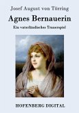 Agnes Bernauerin (eBook, ePUB)