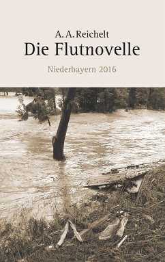 Die Flutnovelle (eBook, ePUB)